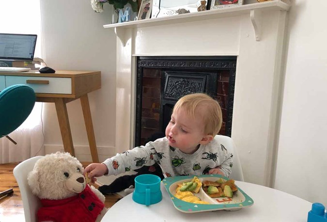 Franki's toddler, Louis, having a teddy bears picnic. Scrambled eggs, avocado on wholemeal toast. He has a small cup of S-26 Toddler milk with his lunch.