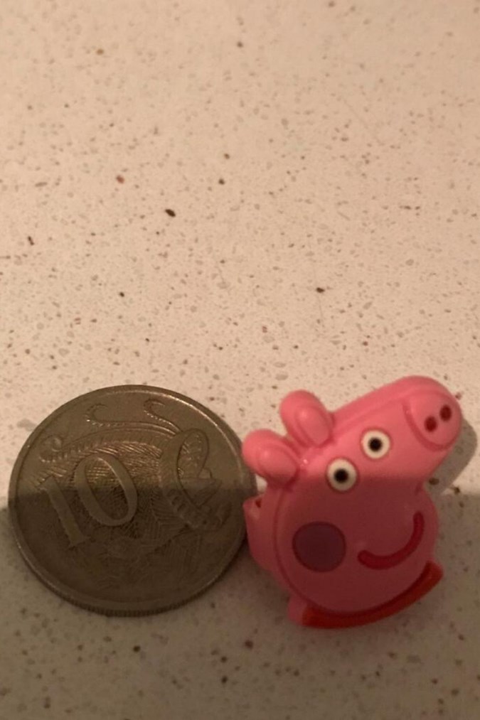 Part of the Peppa Pig watch removed from Eadie. Image: Georgie Byrne