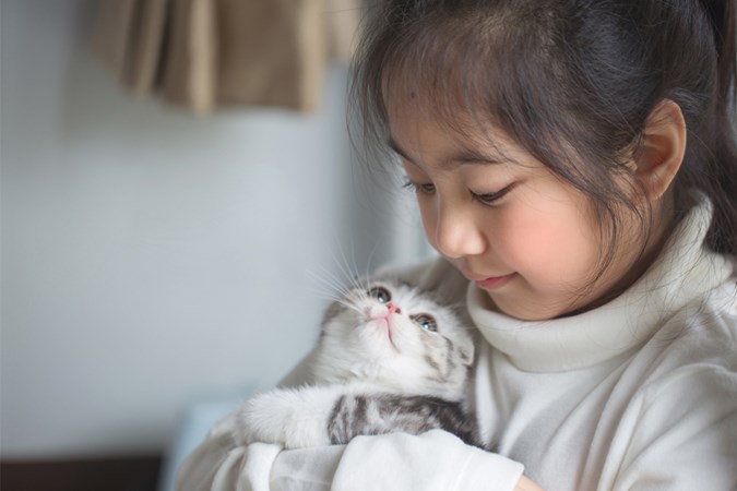 Cats may be the easiest pet to take care of.  (Image: Getty)