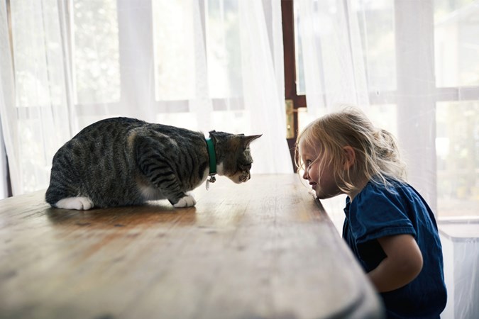 Having a cat as a pet helps children learn to respect animals. (Image: Getty)