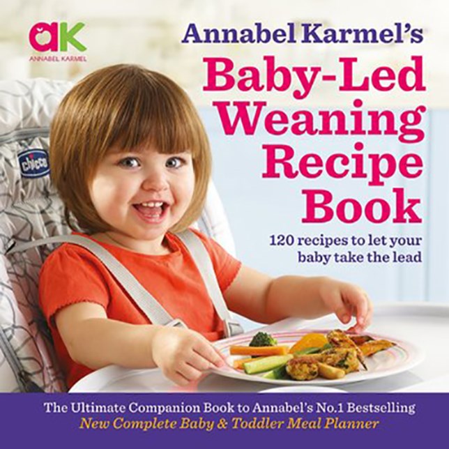 Baby-Led Weaning Recipe Book 